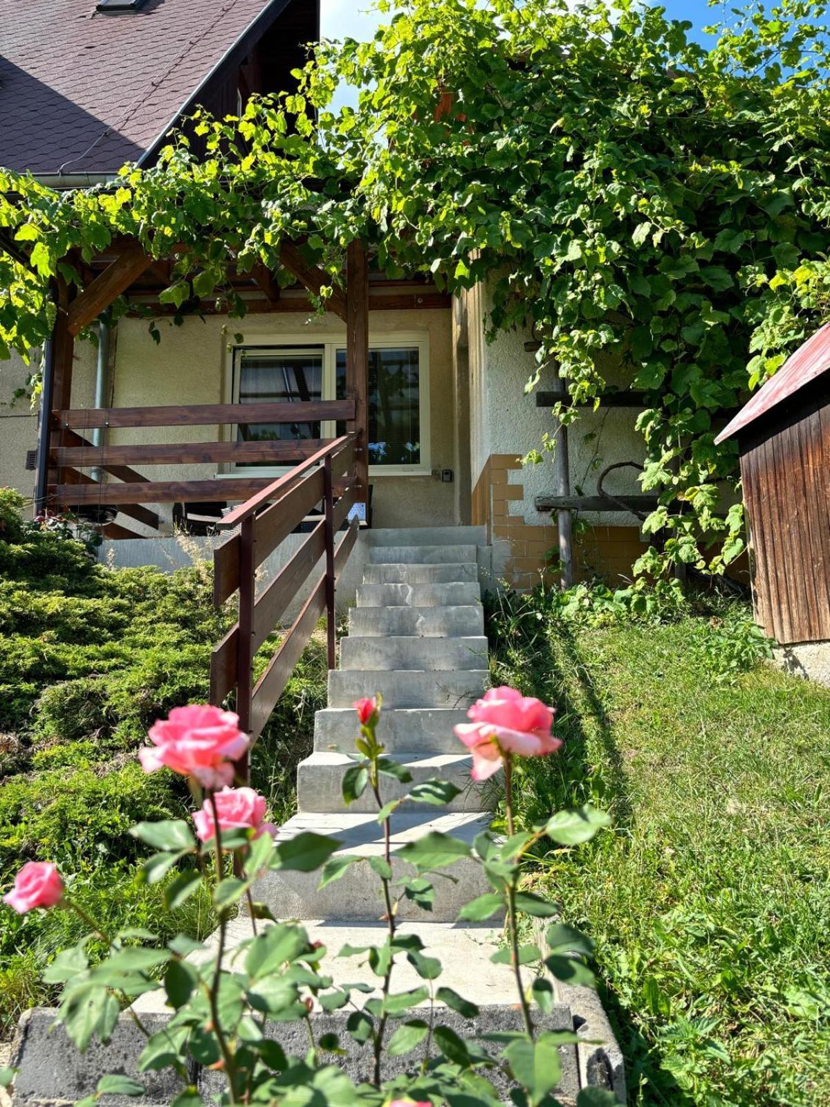 Apartman Vendy Karlovy Vary Ngoại thất bức ảnh